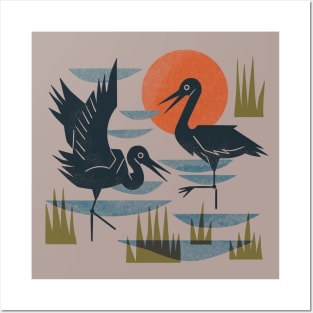 Cranes Wading At Sunset Posters and Art